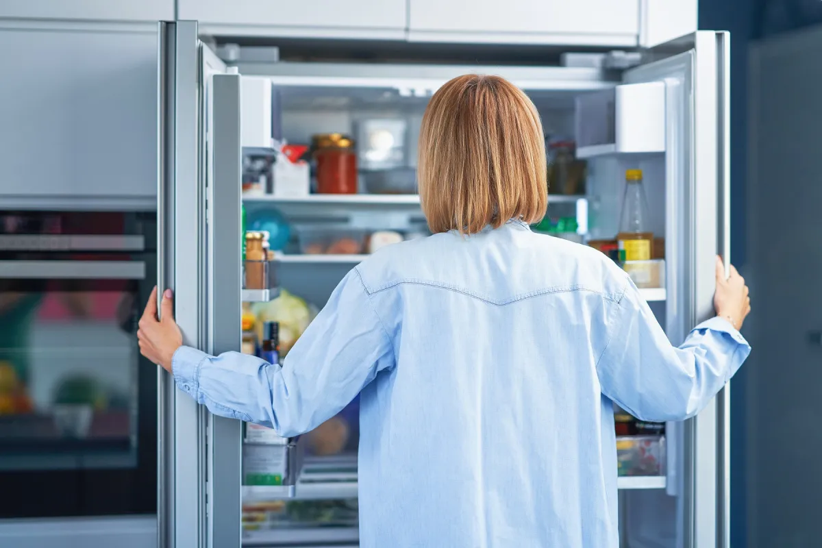 Ako si vybrať chladničku?